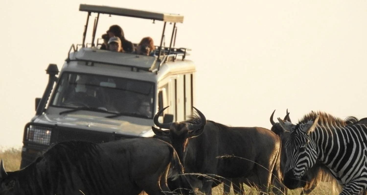 Family safaris, Tanzania safari Experiences - Zebras and wildebeest